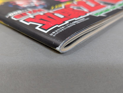 Pro Wrestling Extreme Book No.13