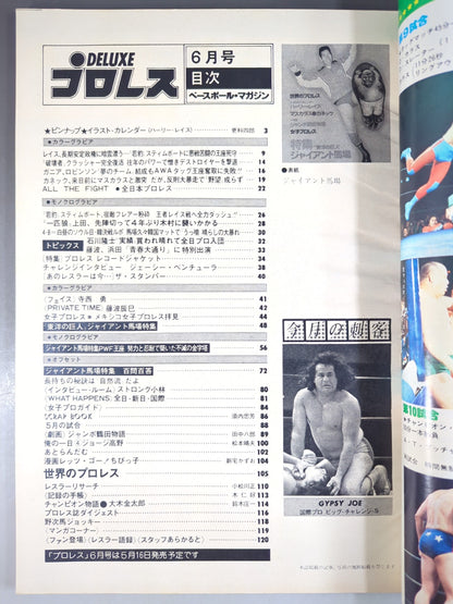デラックスプロレス 1979年6月号
