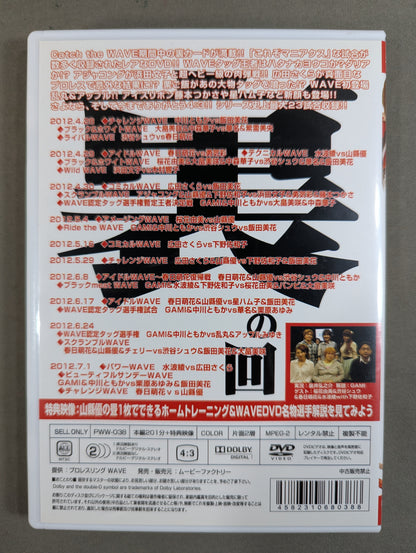 Pro-wrestling WAVE Maniacs 15 ★2012.4.28-2012.7.1★