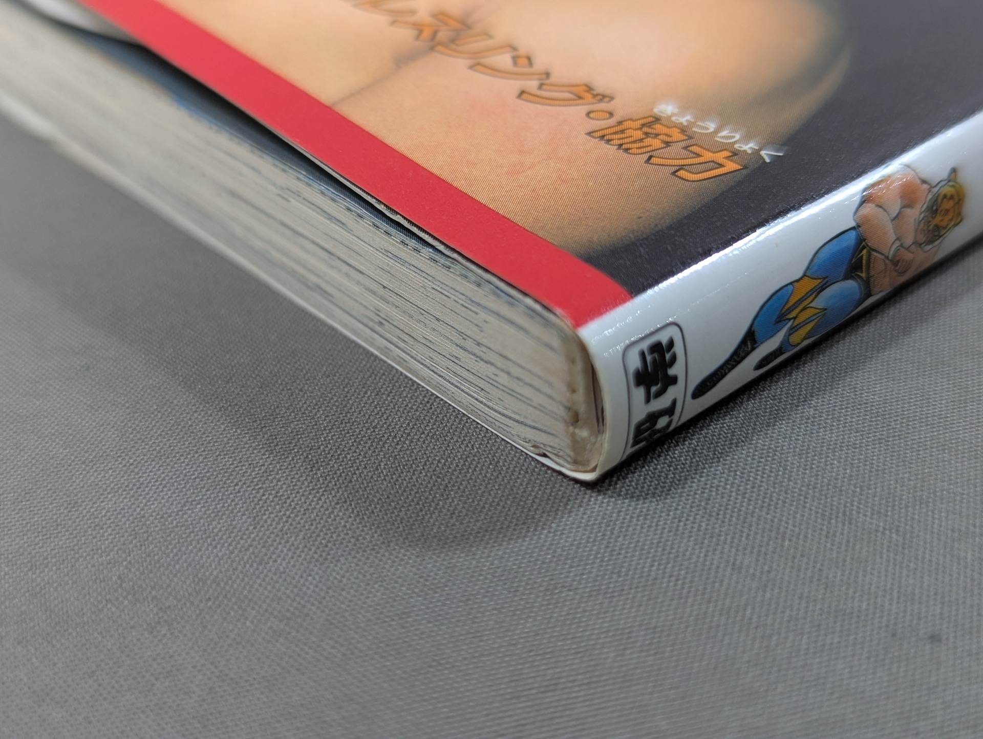 実録まんが タイガーマスク – 闘道館