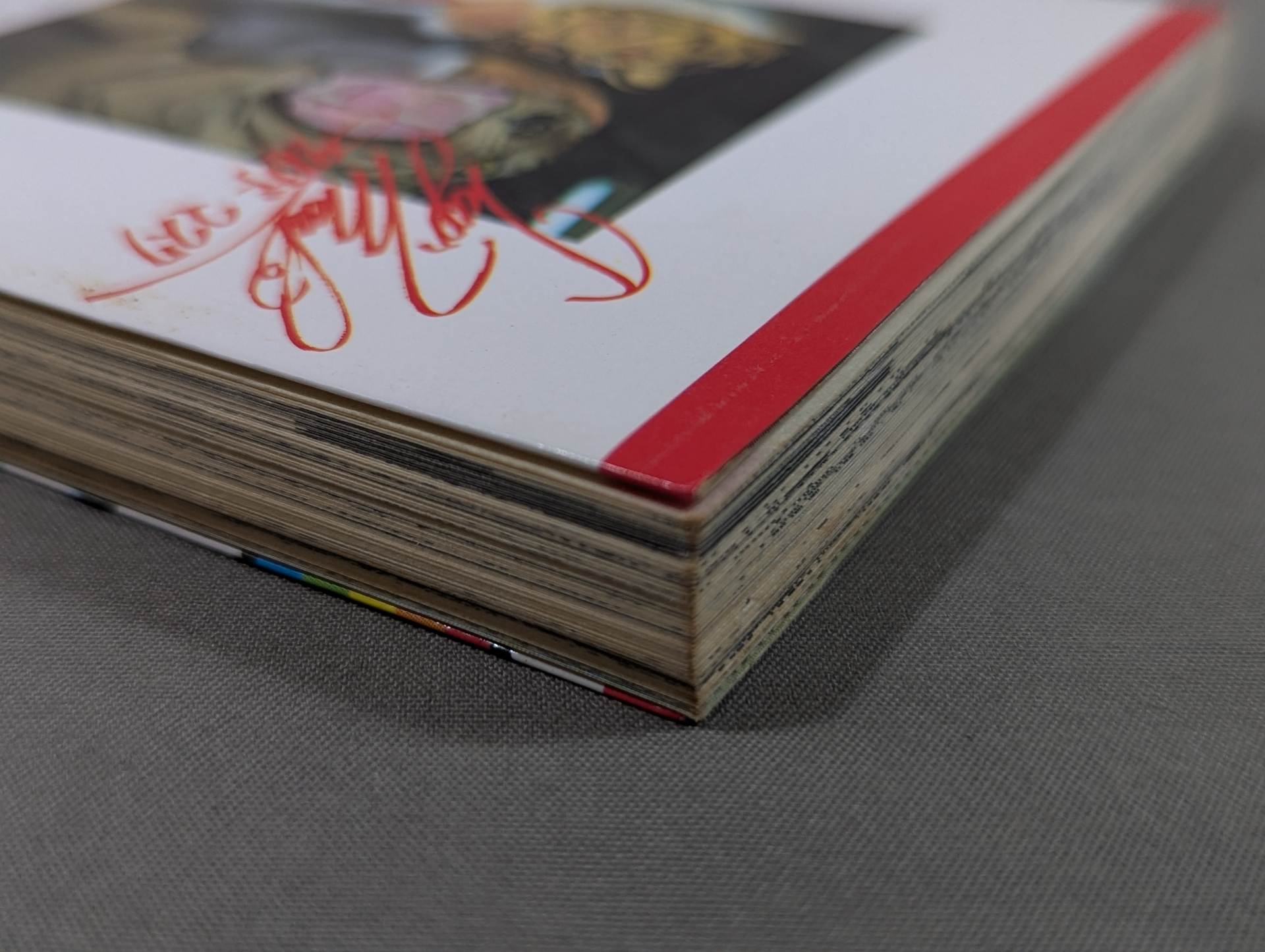 実録まんが タイガーマスク – 闘道館