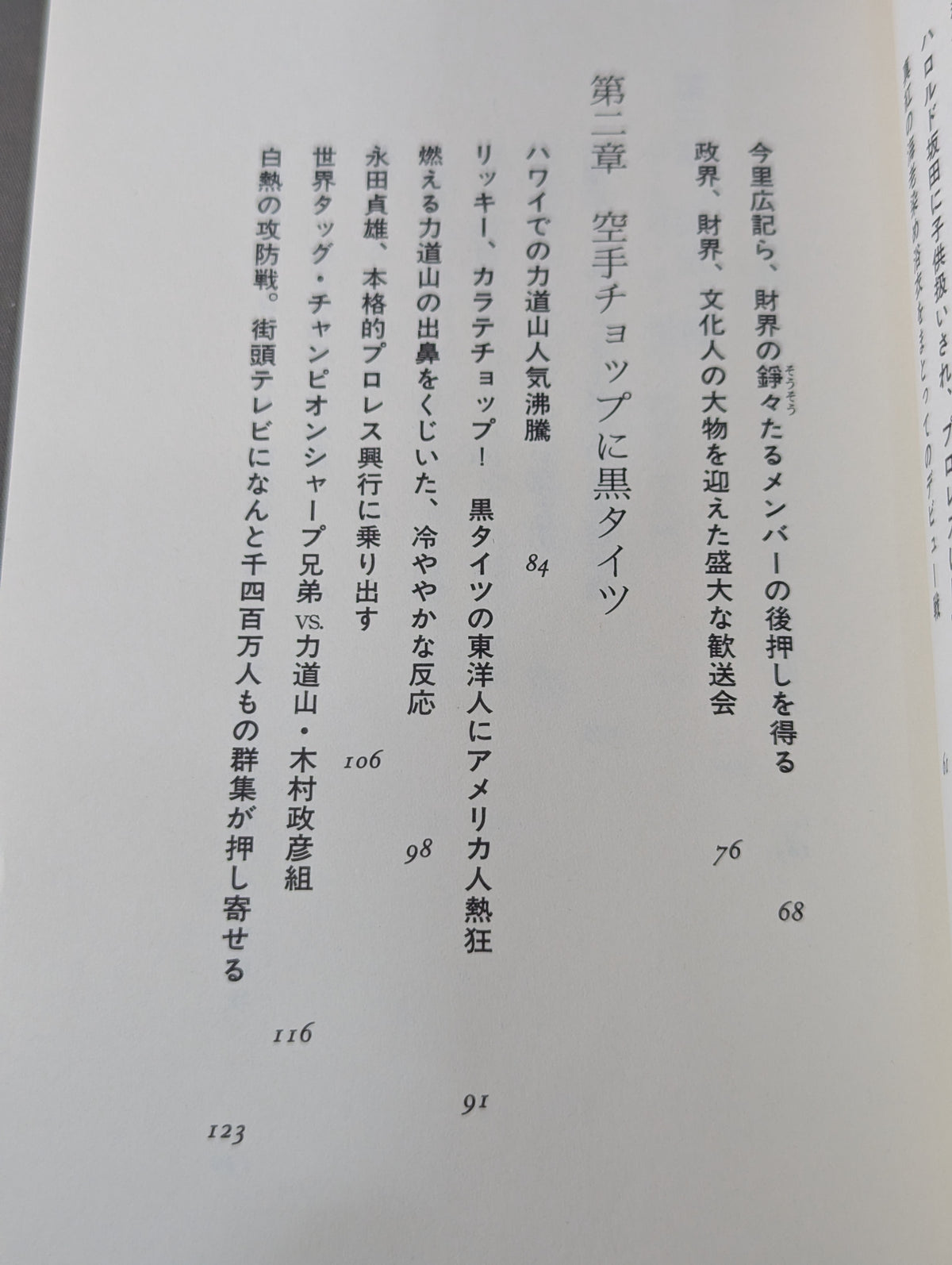 永遠の力道山 プロレス三国志