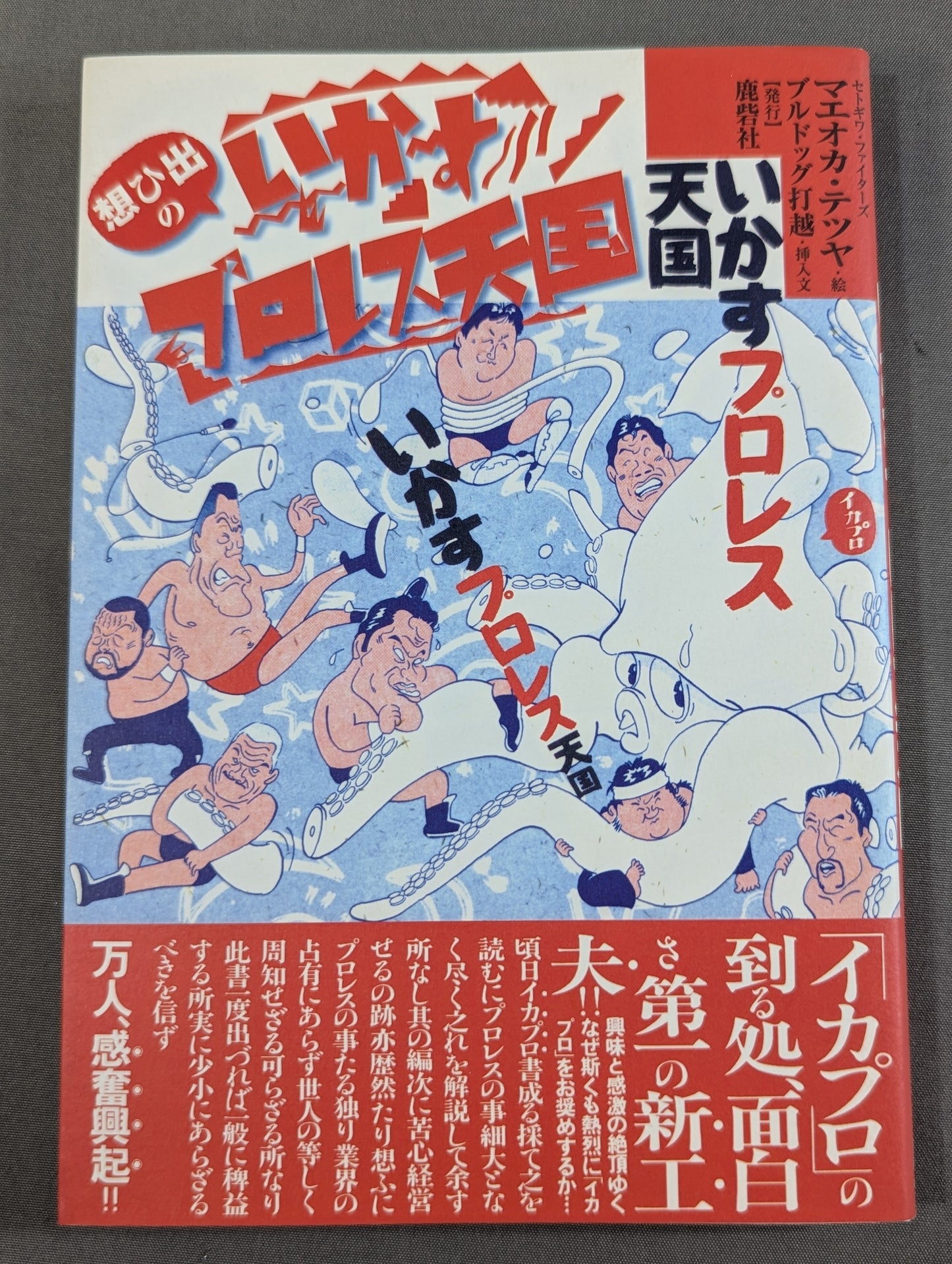Imagibi no Iku no Pro Wrestling Heaven