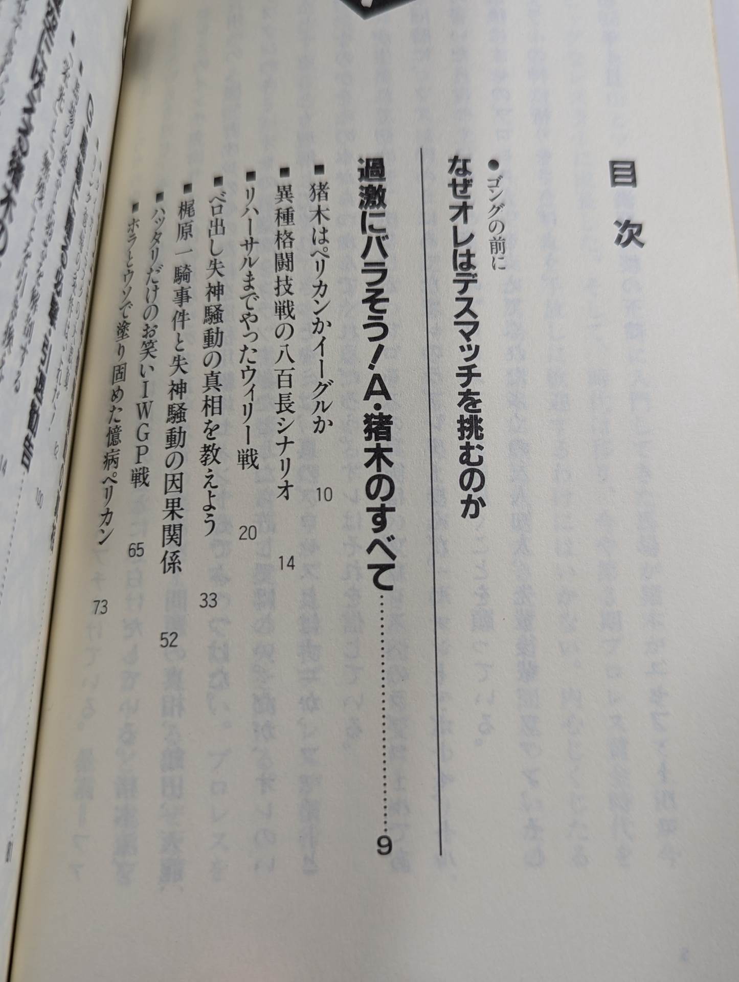 こんなプロレス知ってるかい