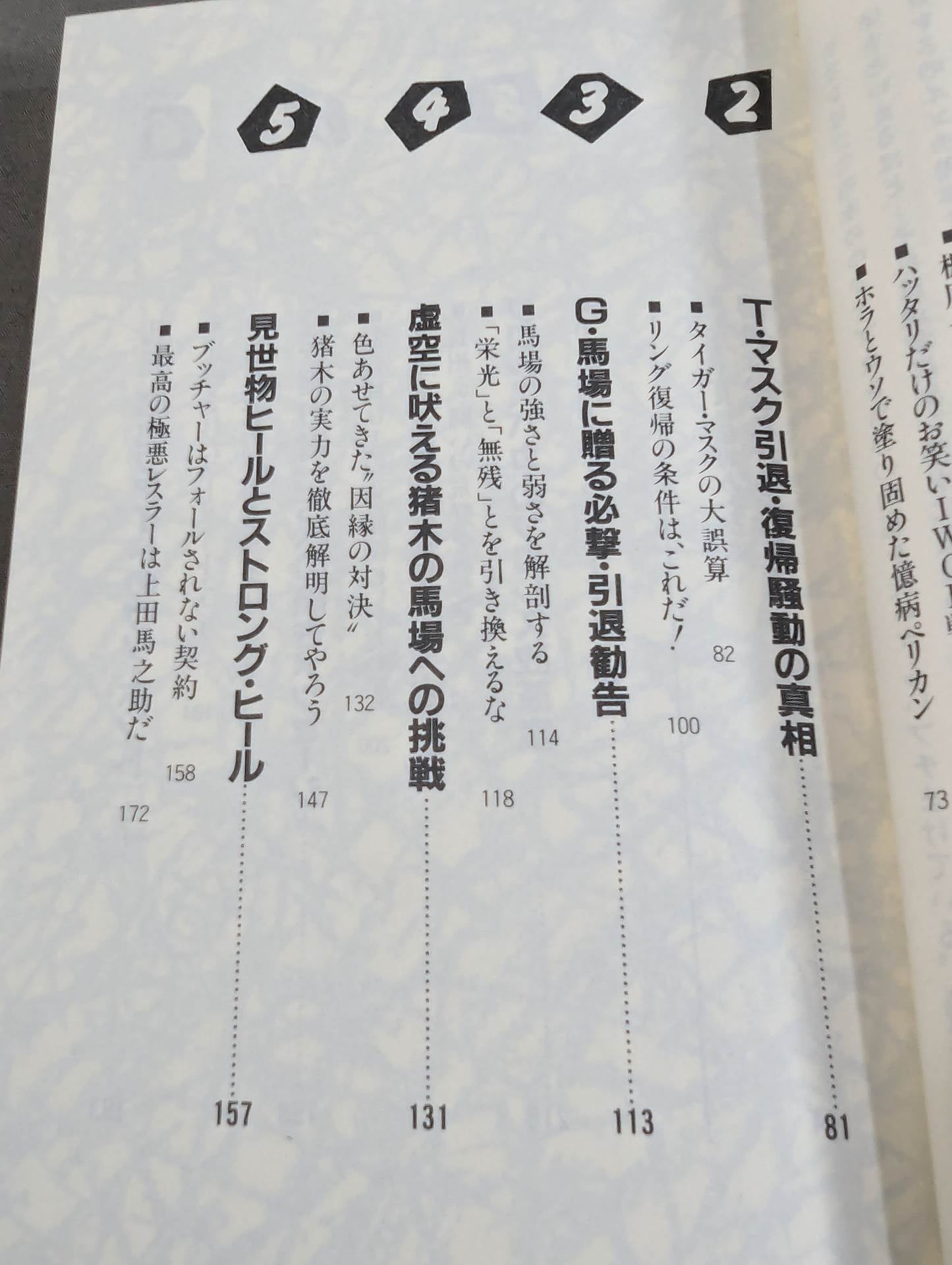 こんなプロレス知ってるかい