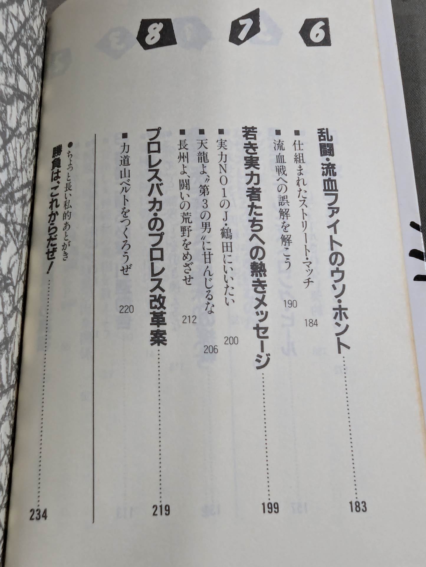 こんなプロレス知ってるかい