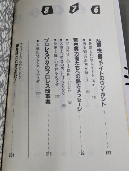 こんなプロレス知ってるかい