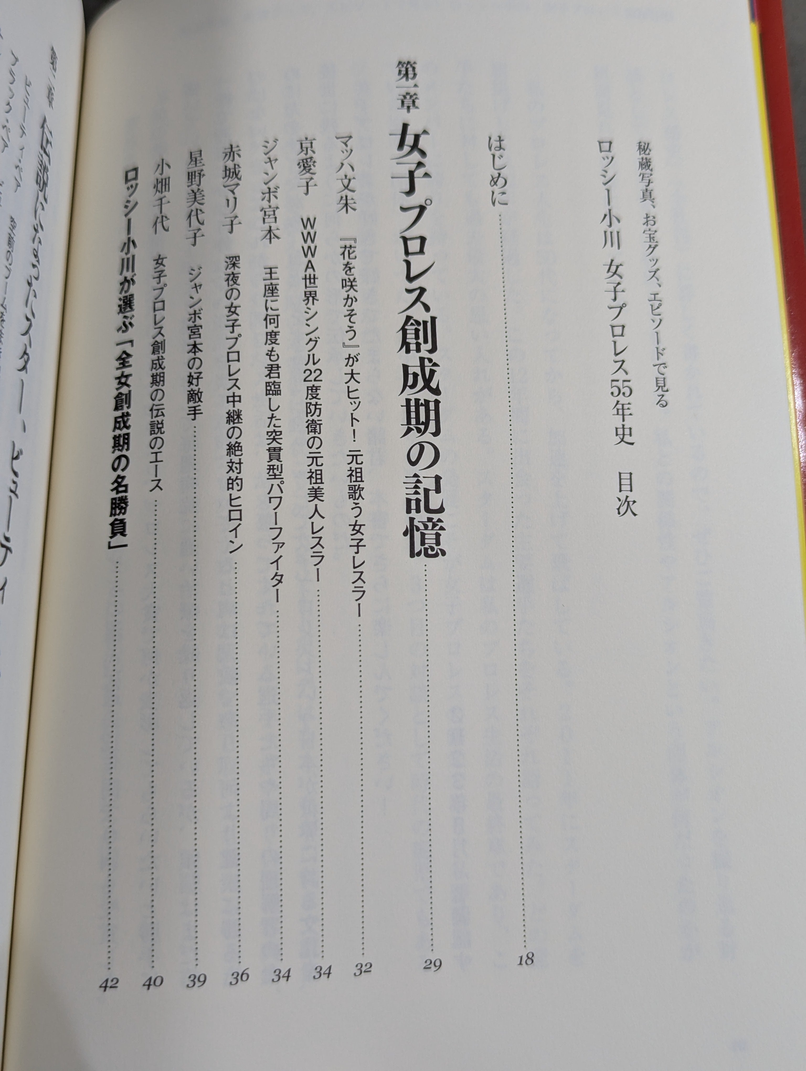 秘蔵写真、お宝グッズ、エピソードで見る 女子プロレス55年史 – 闘道館