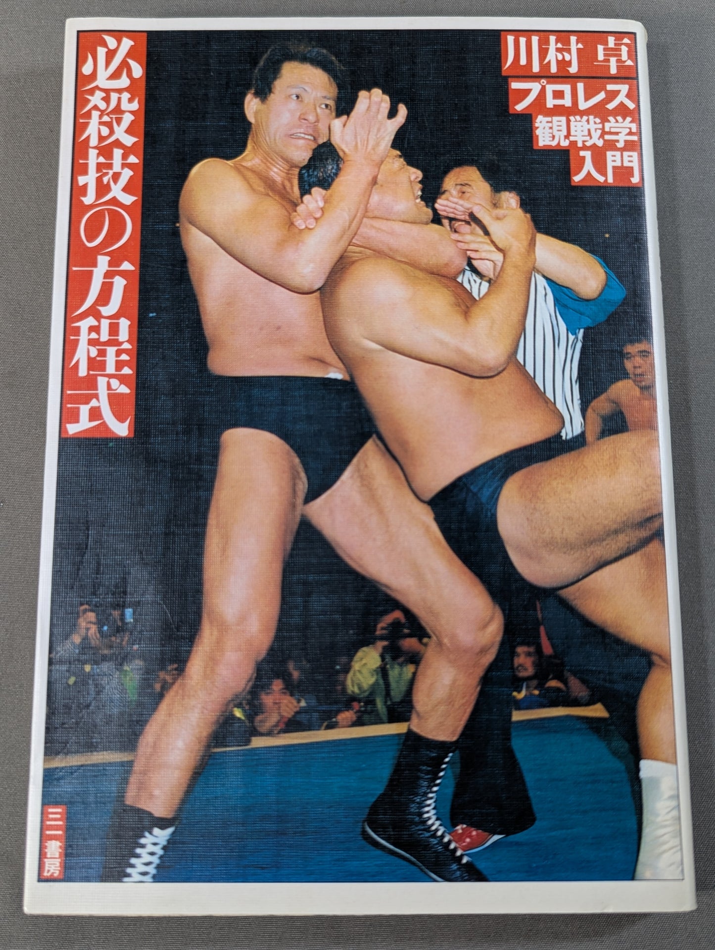 Pro Wrestling Introduction to Spectating: The Equation for Special Moves