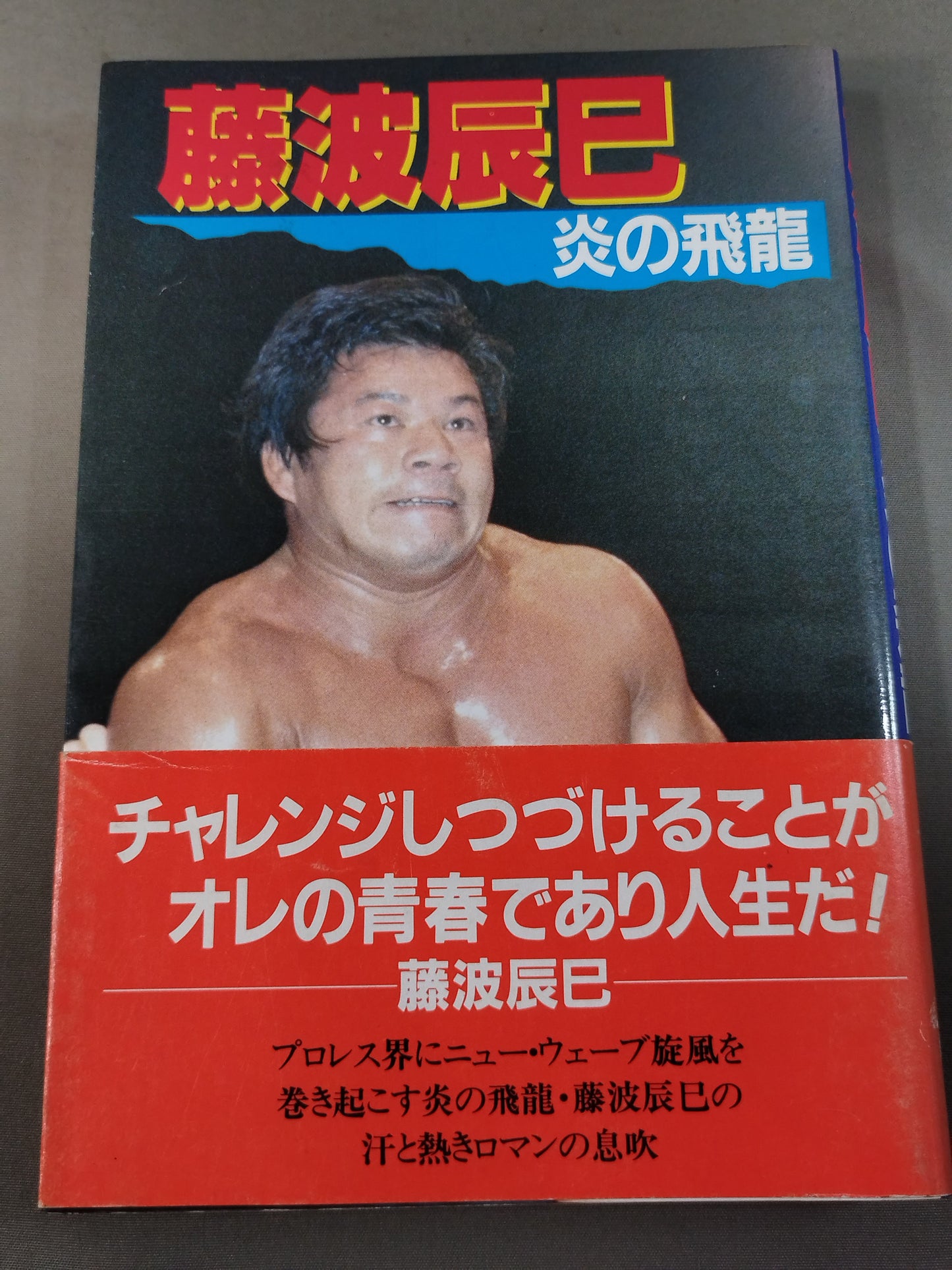 藤波辰巳 炎の飛龍