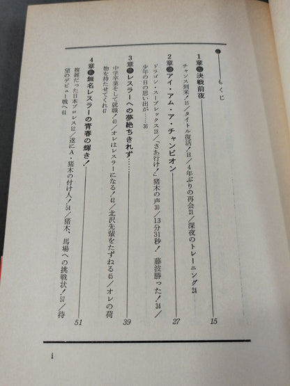 藤波辰巳 炎の飛龍