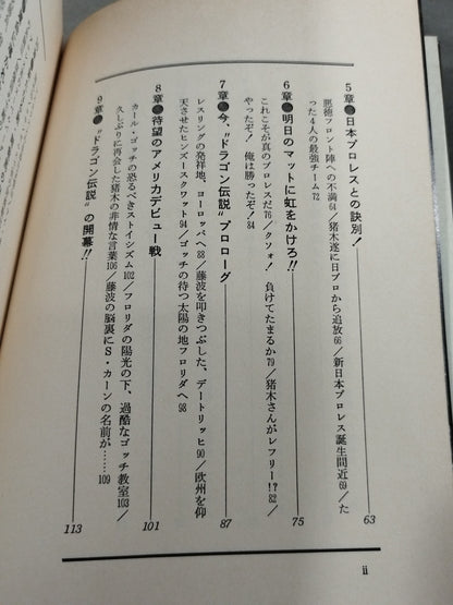 藤波辰巳 炎の飛龍