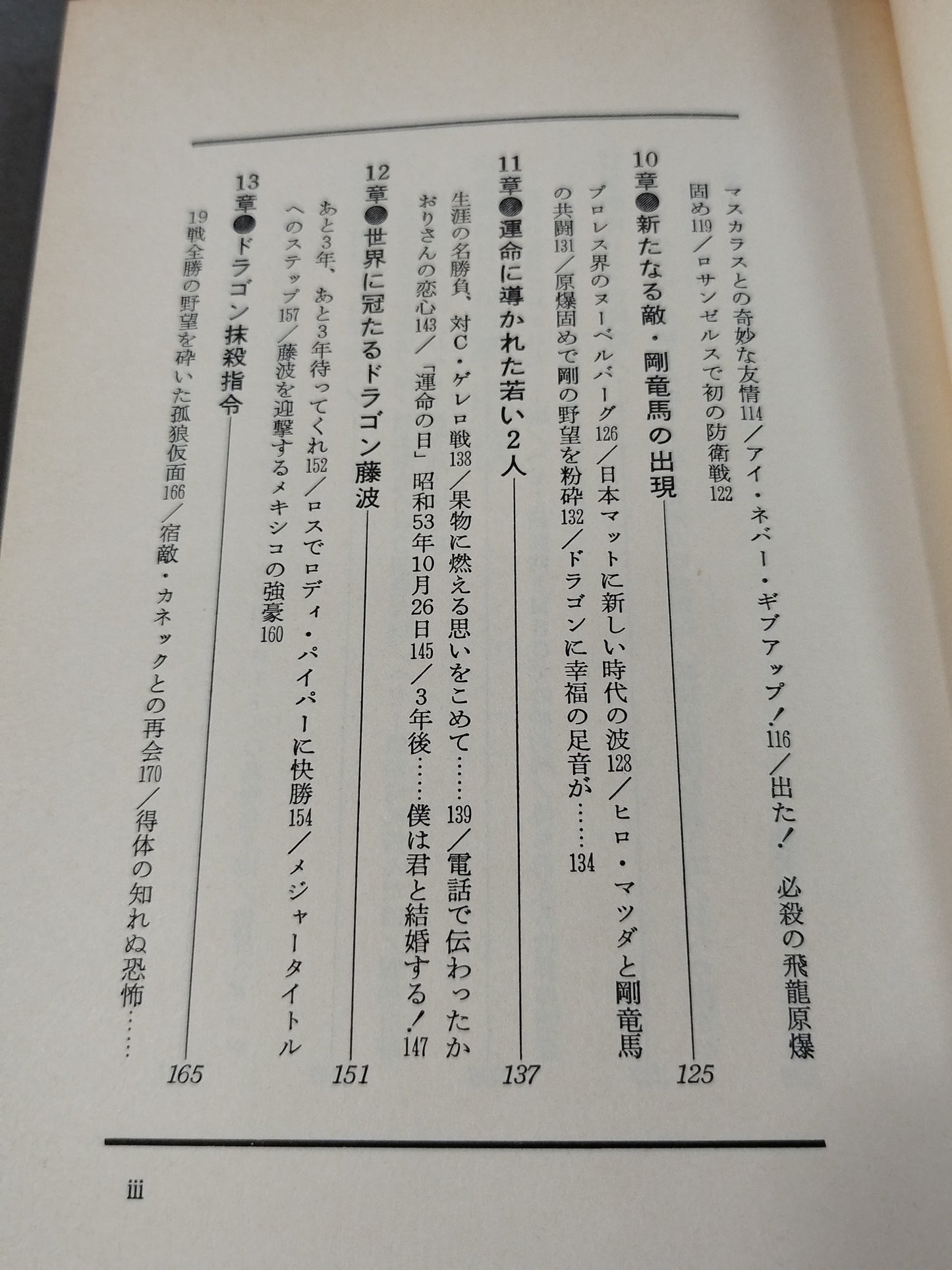 藤波辰巳 炎の飛龍