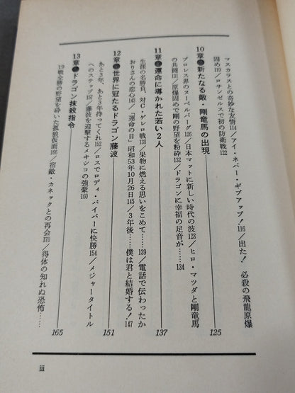 藤波辰巳 炎の飛龍