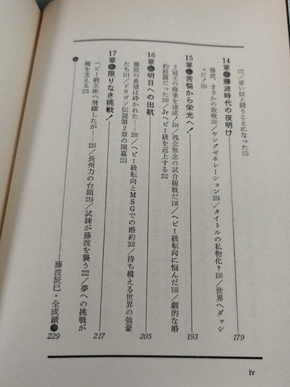 藤波辰巳 炎の飛龍