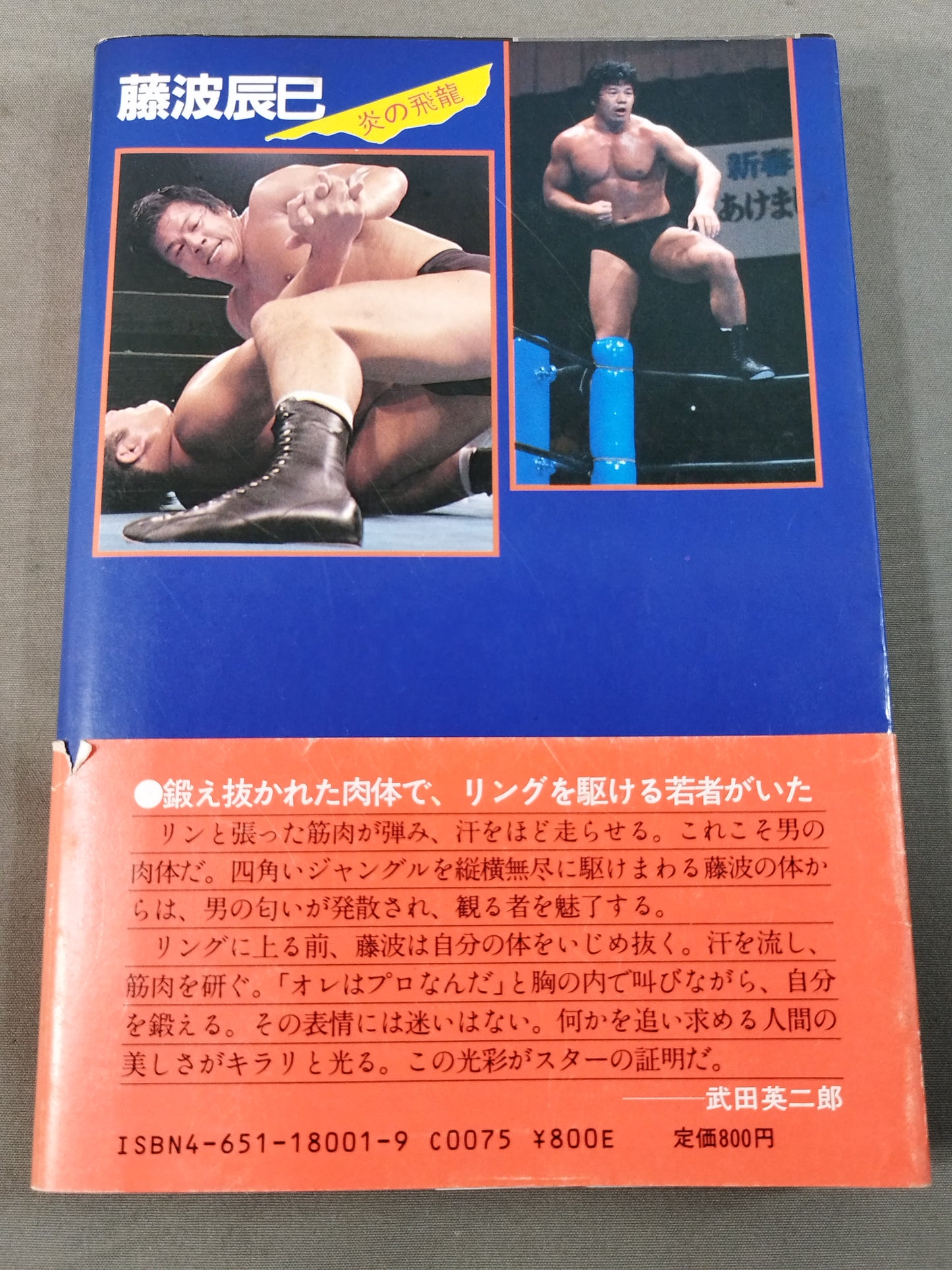藤波辰巳 炎の飛龍