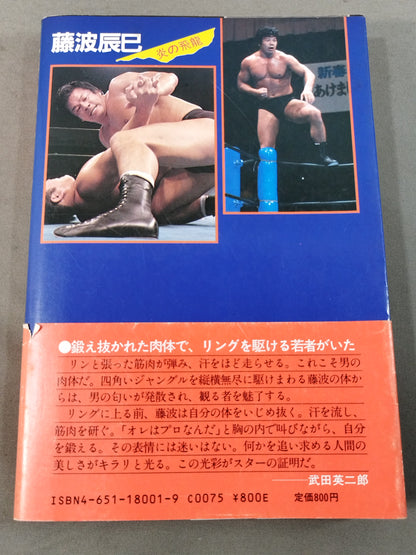 藤波辰巳 炎の飛龍