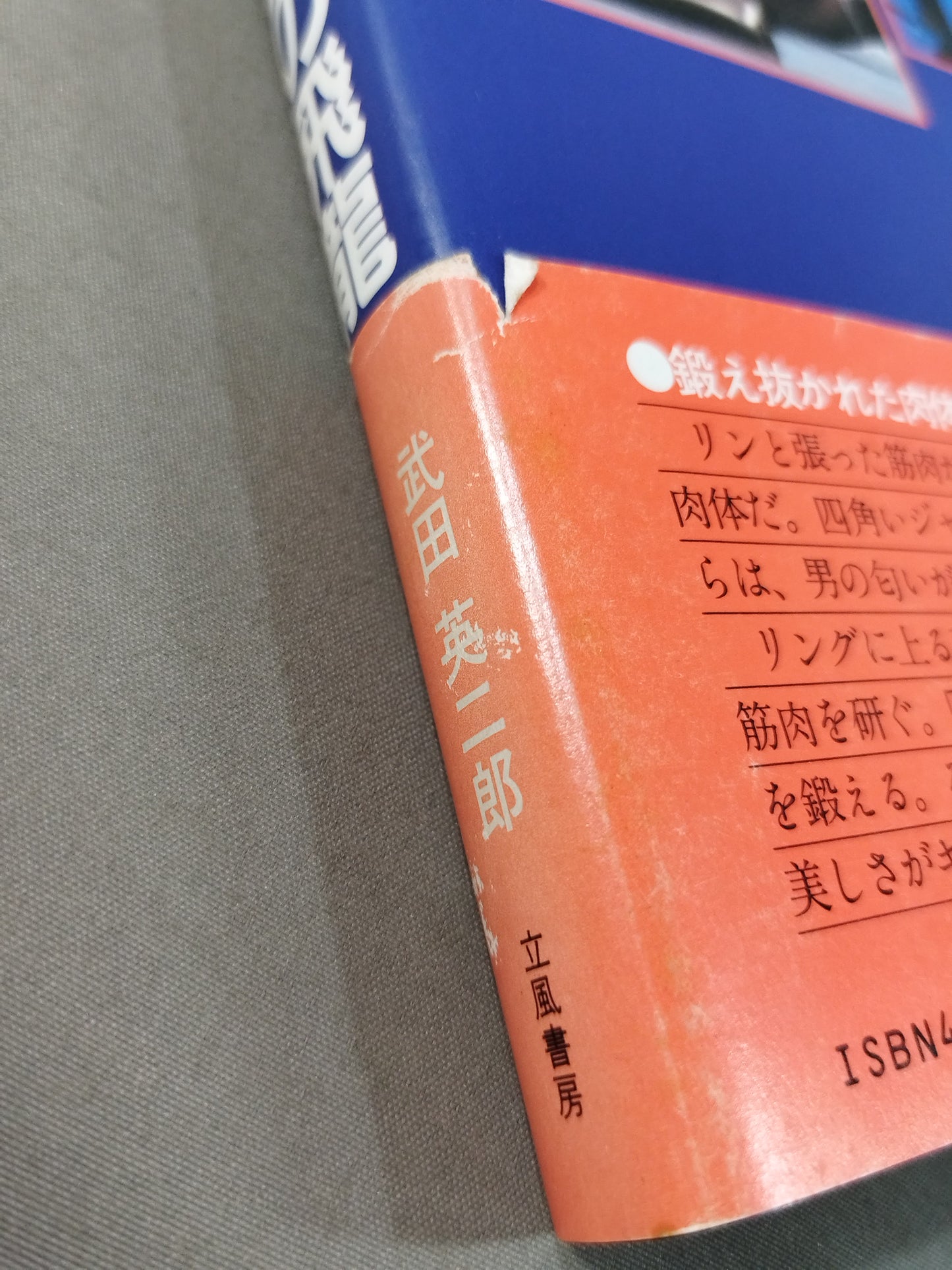 藤波辰巳 炎の飛龍