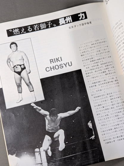 80ビッグ・ファイト・シリーズ