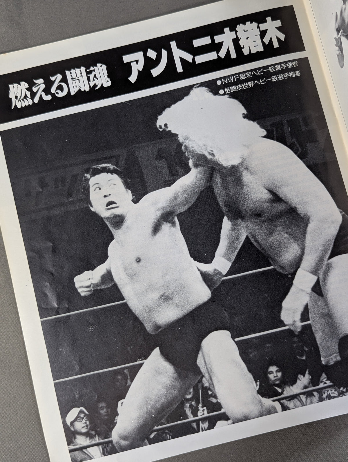 81WWFビッグ・ファイト・シリーズ