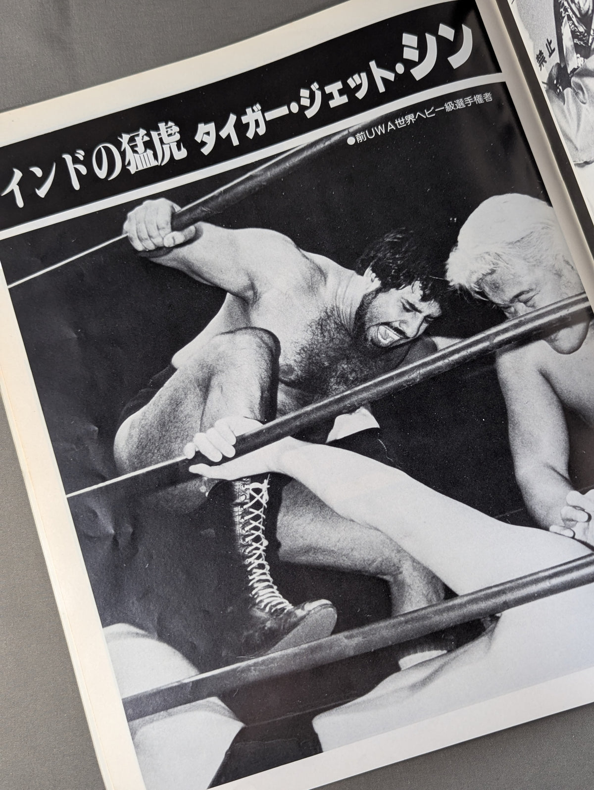 81WWFビッグ・ファイト・シリーズ