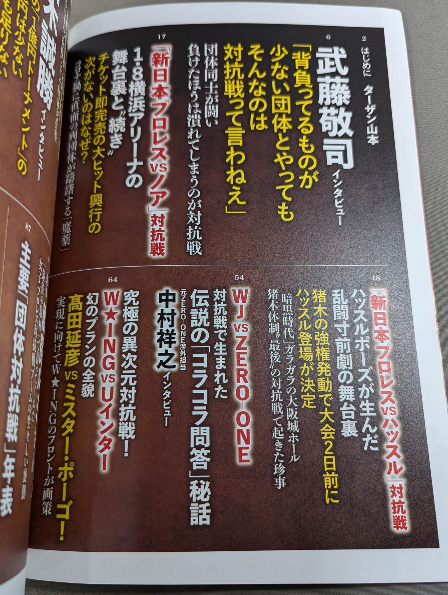 Series Paradoxical Pro Wrestling Vol.21 Pro Wrestling  frenzy "promotion  competition" Light and Shadow