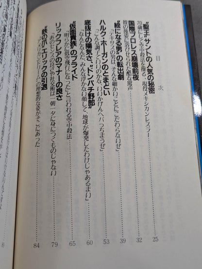 続オフ・ザ・リング / ザ・レスラー その光と影