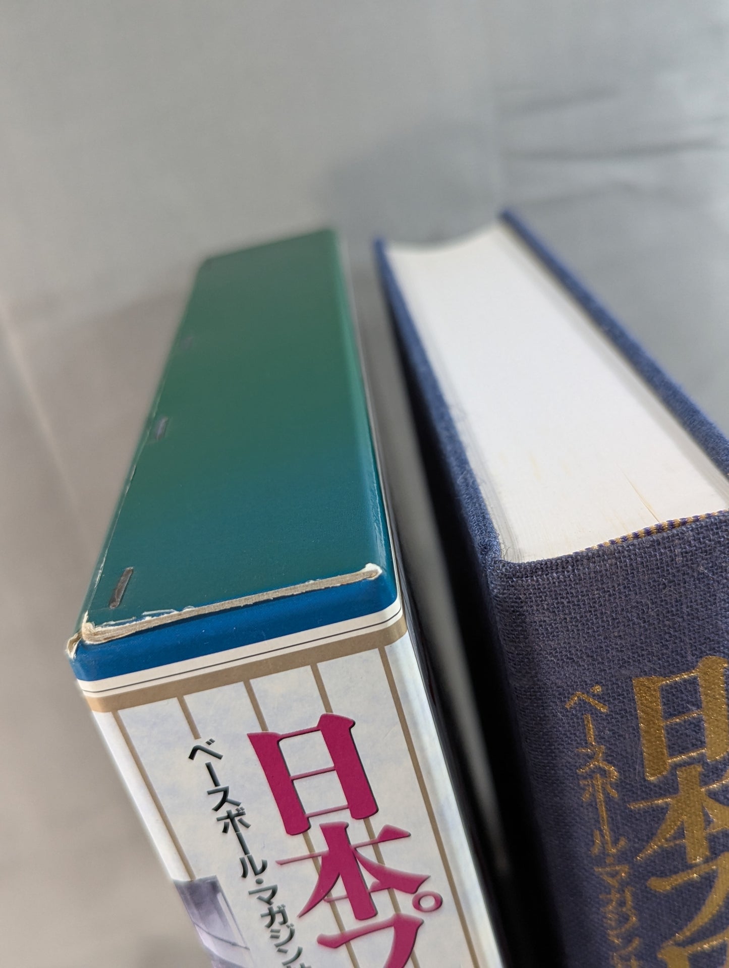 The Complete History of Pro Wrestling in Japan 1854~1994 History & Complete List of Foreigners Visiting Japan