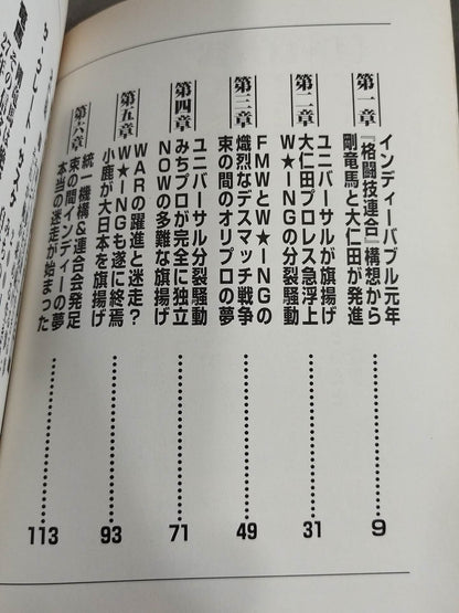 プロレス虚泡団体の真実