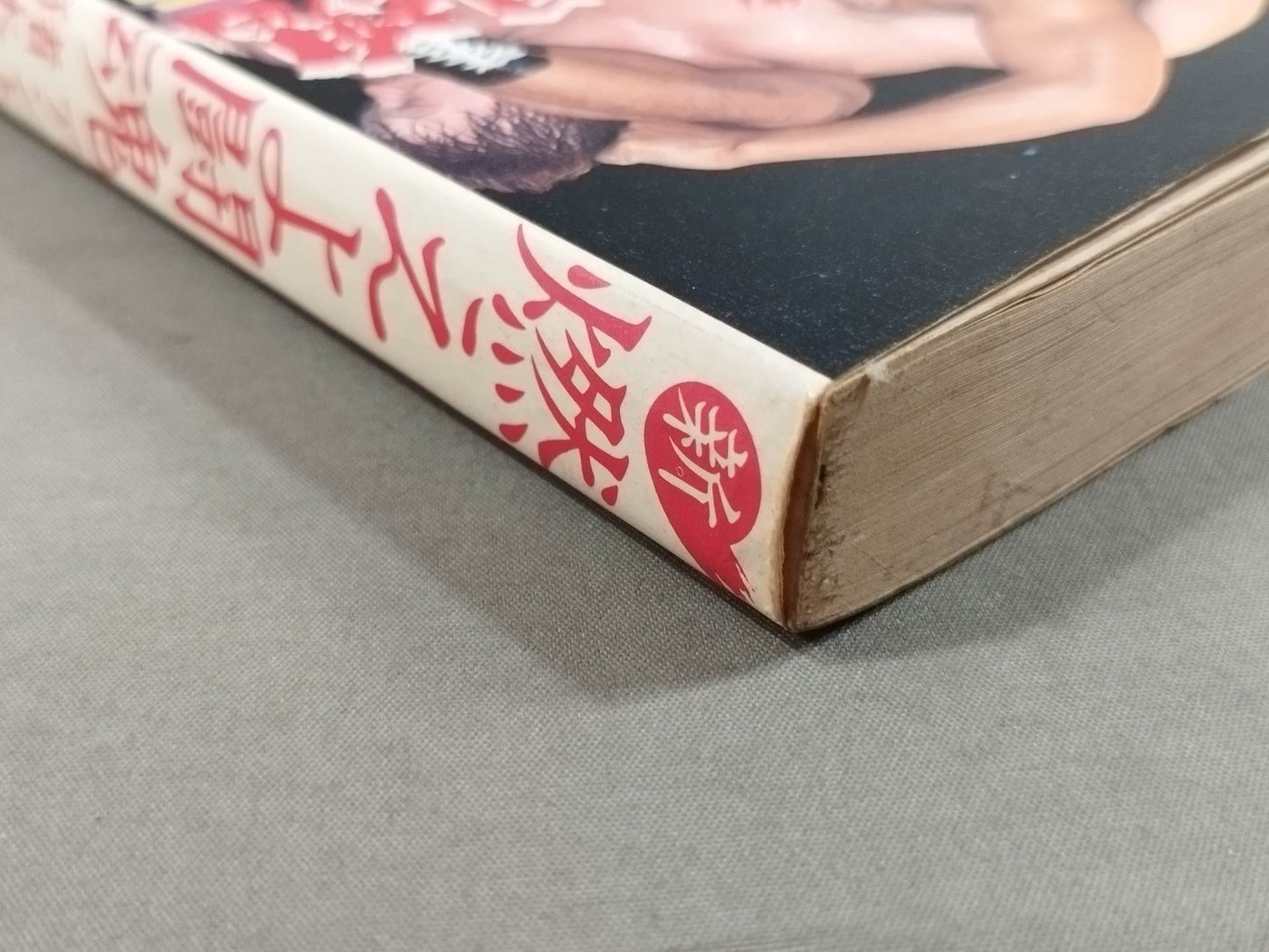 新 燃えよ闘魂 アントニオ猪木自伝