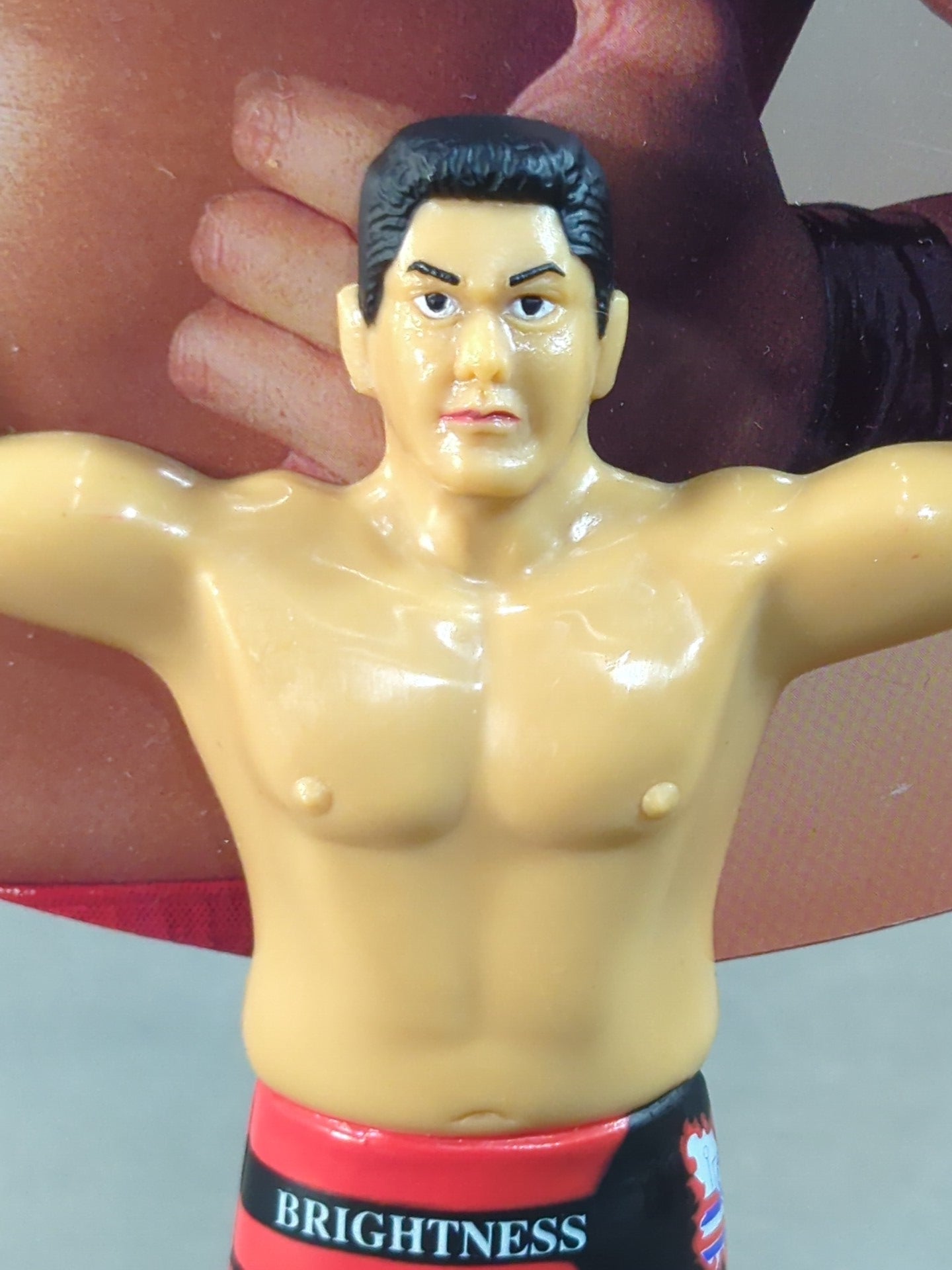 太陽ケア フィギュア うちわ