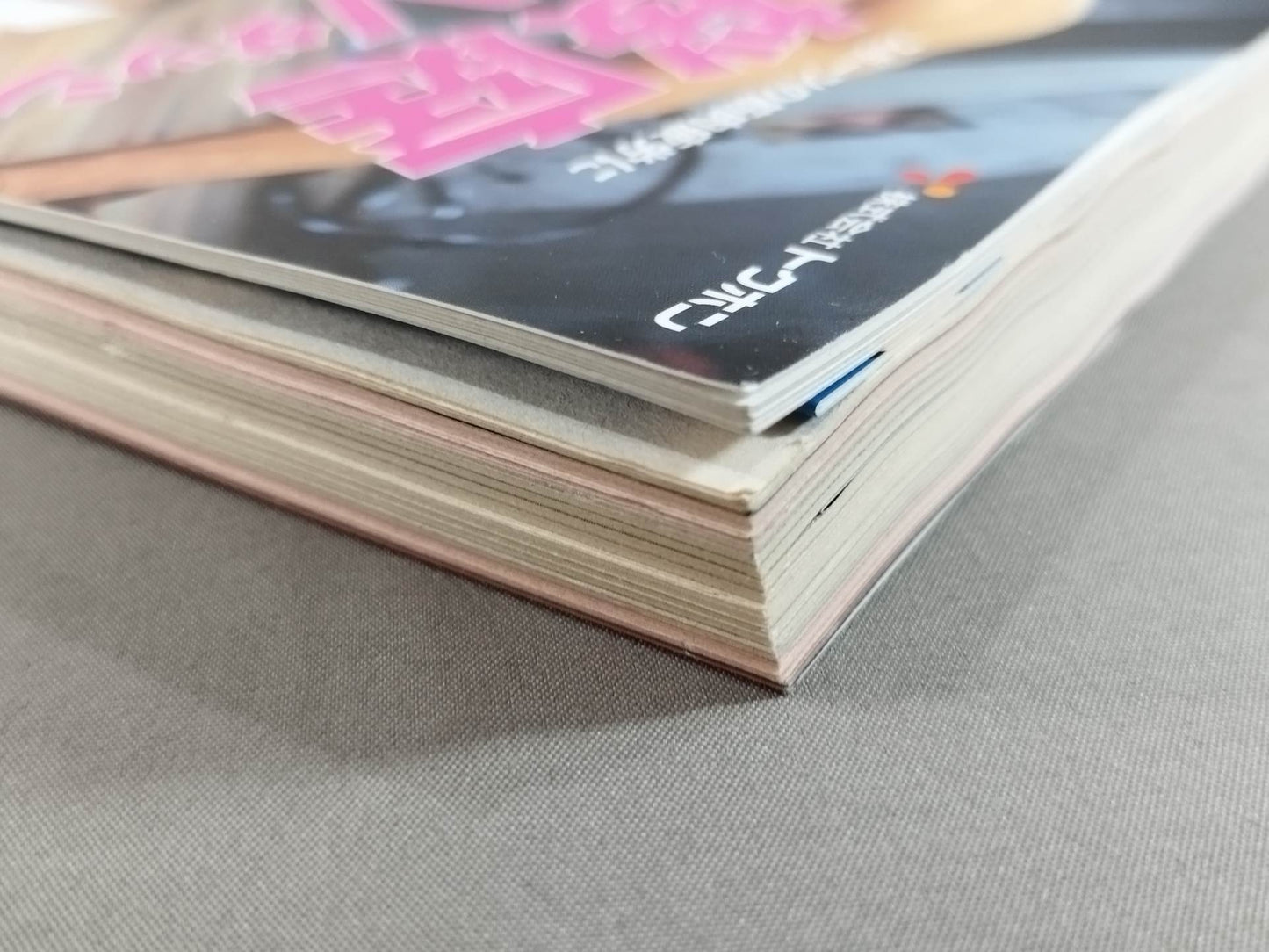 Sakurabon Kazushi Sakuraba Official Magazine
