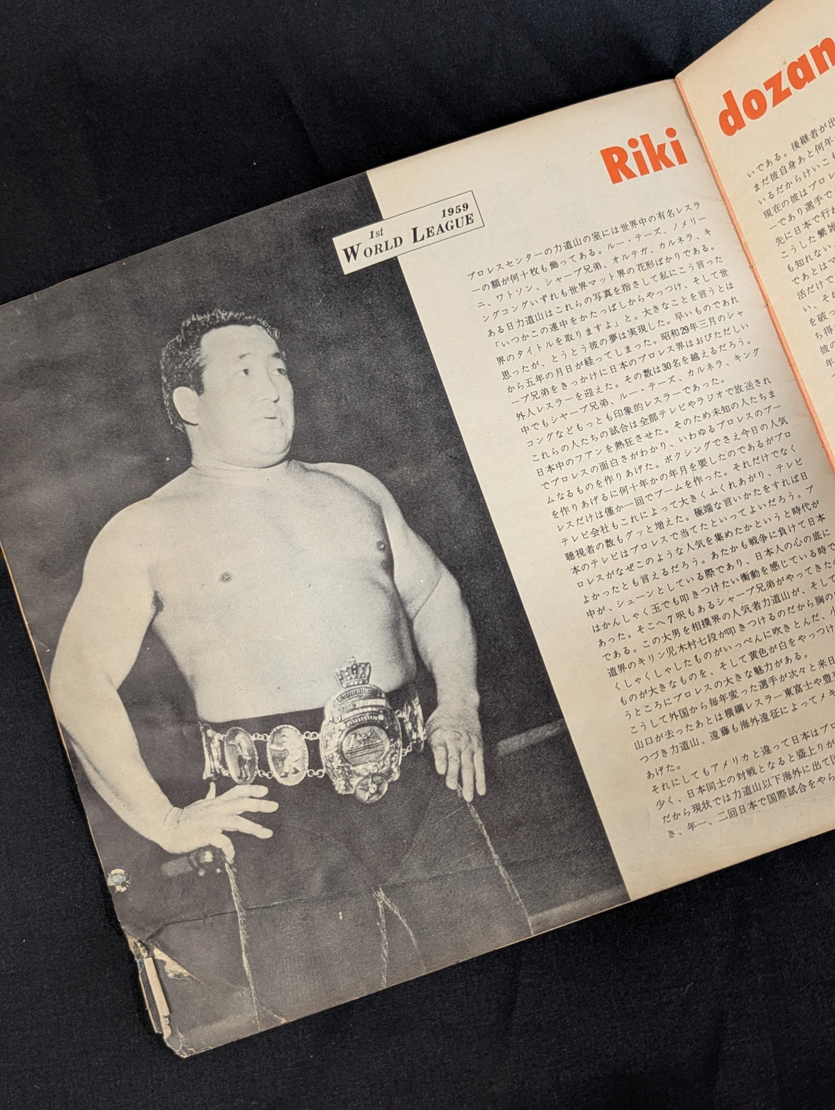 第1回プロレス・ワールド・リーグ戦(第1回ワールド大リーグ戦)