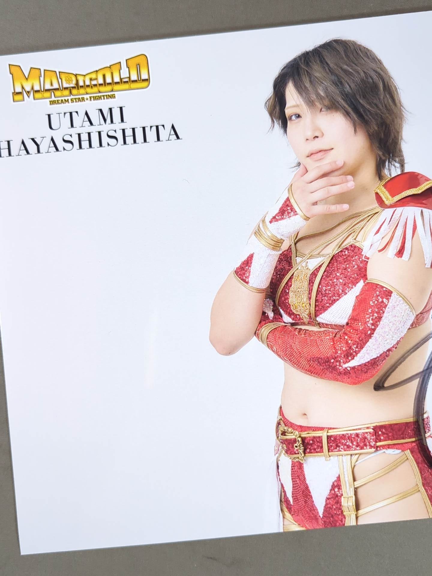 林下詩美 直筆サイン入り ポートレート(A-1) – 闘道館