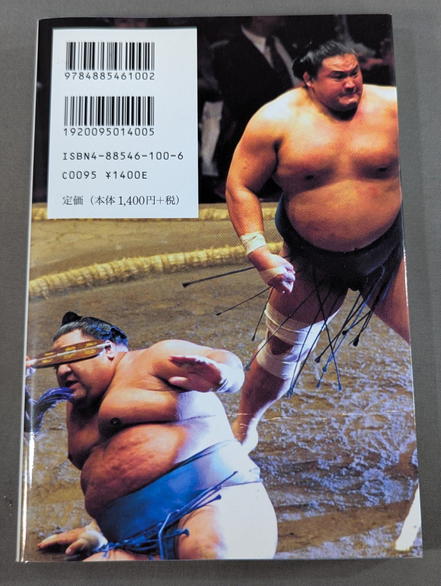平成の大横綱｢貴乃花｣伝説 花田家三代血の証明