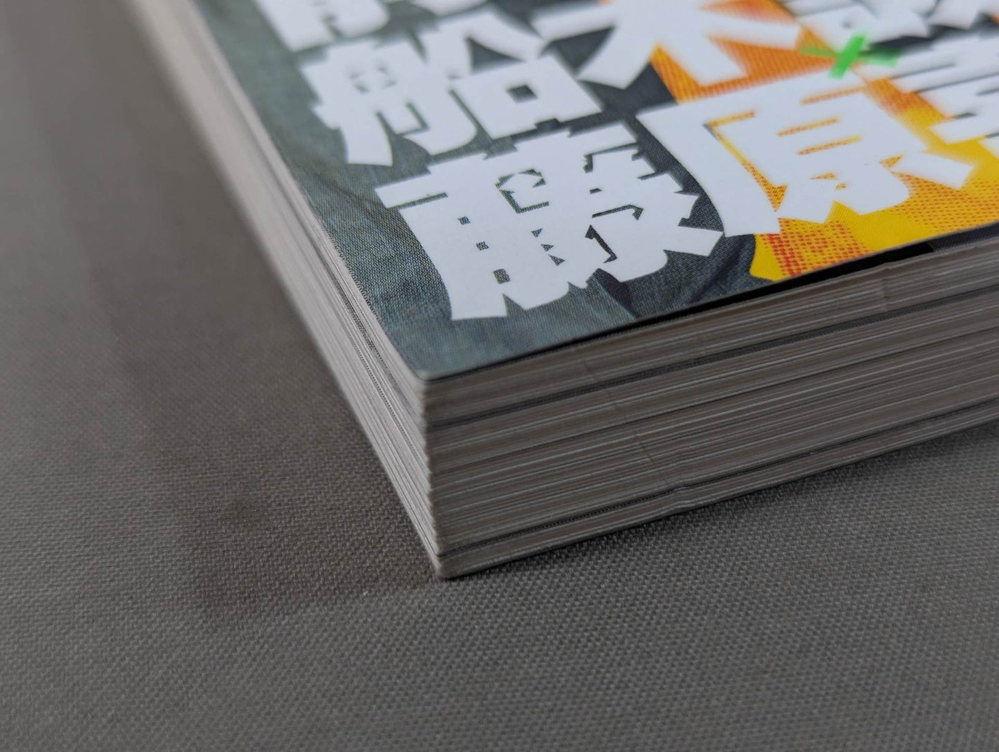 Bessatsu Takarajima 1217 Pro Wrestling  & Martial Arts "Flag Raising" Reader