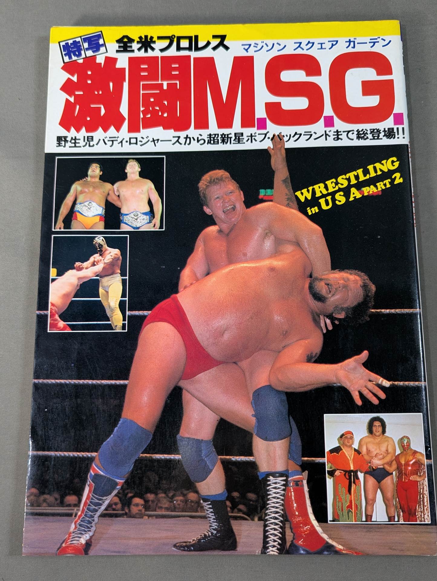 Photo collection Fierce Battle M.S.G. Pro Wrestling Madison Square Garden