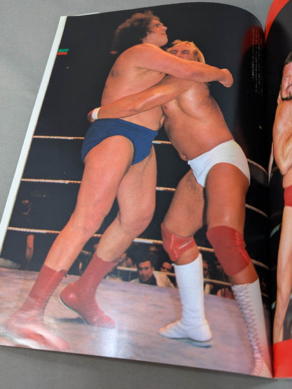 Photo collection Fierce Battle M.S.G. Pro Wrestling Madison Square Garden