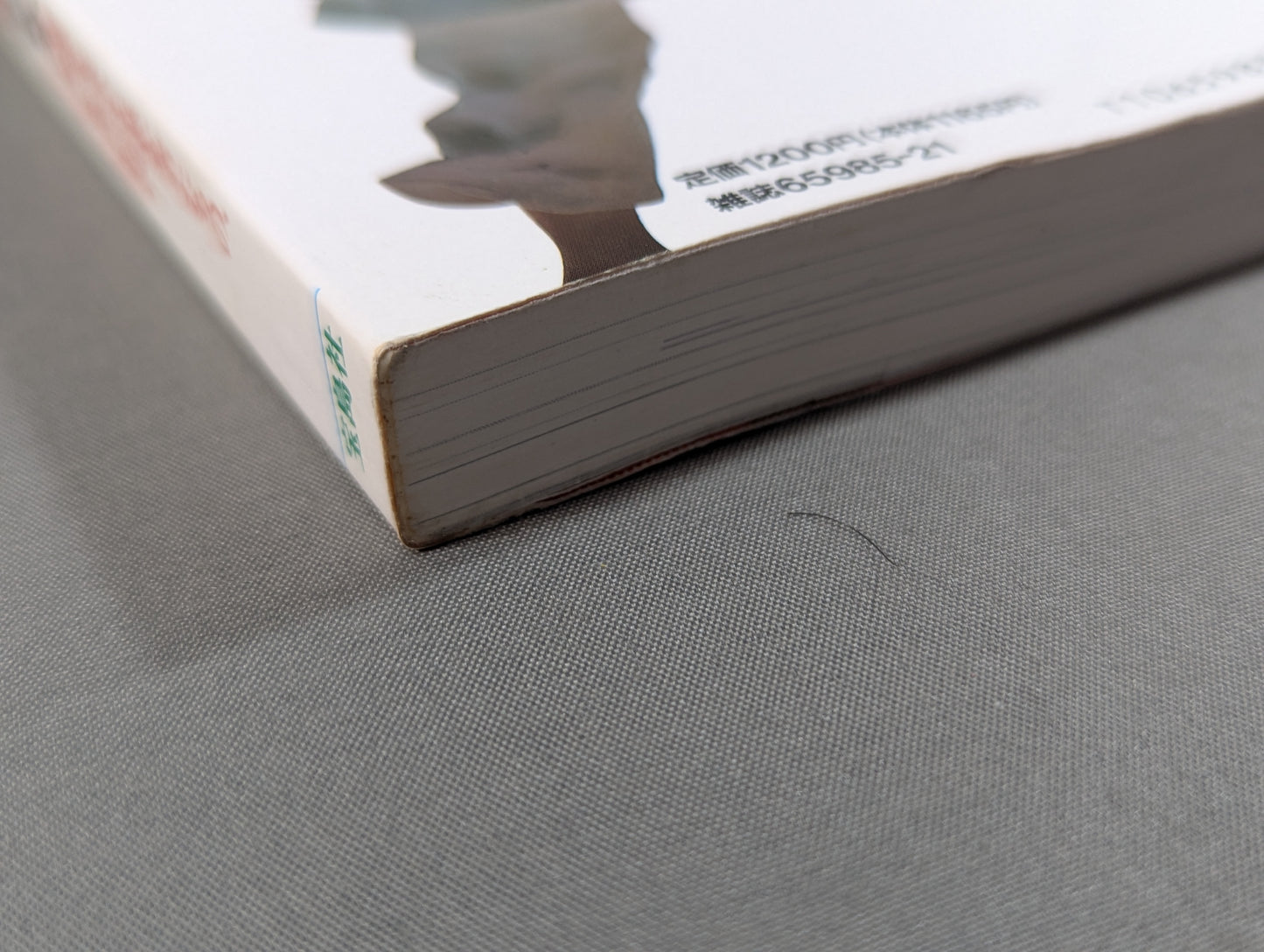 別冊宝島EX 格闘技死闘読本 「最強」を求めた愚か者たちの、荒ぶる魂の伝説!