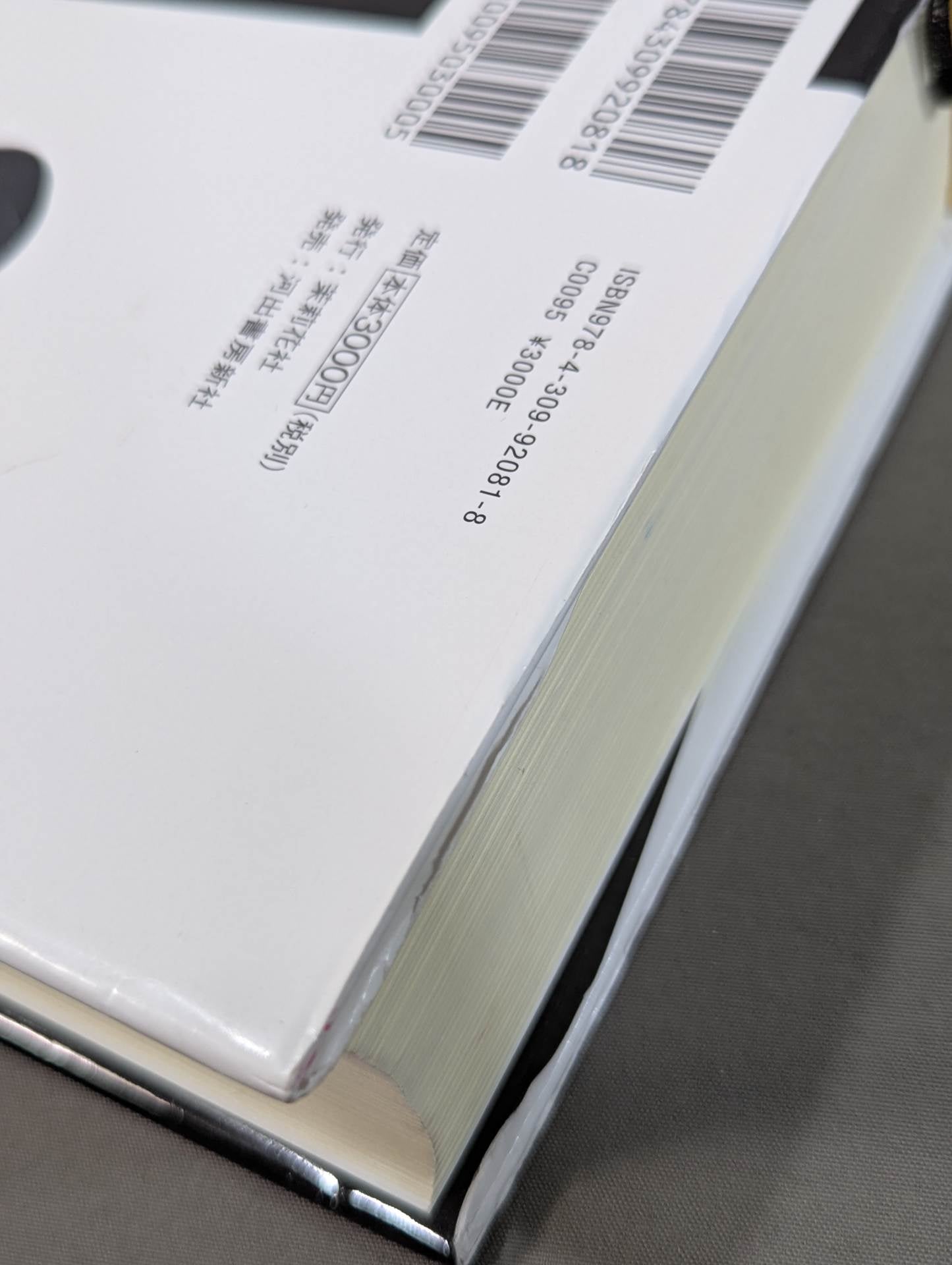 Martial Artist Akira Maeda 's Era (2)