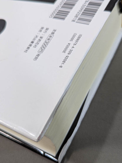 Martial Artist Akira Maeda 's Era (2)