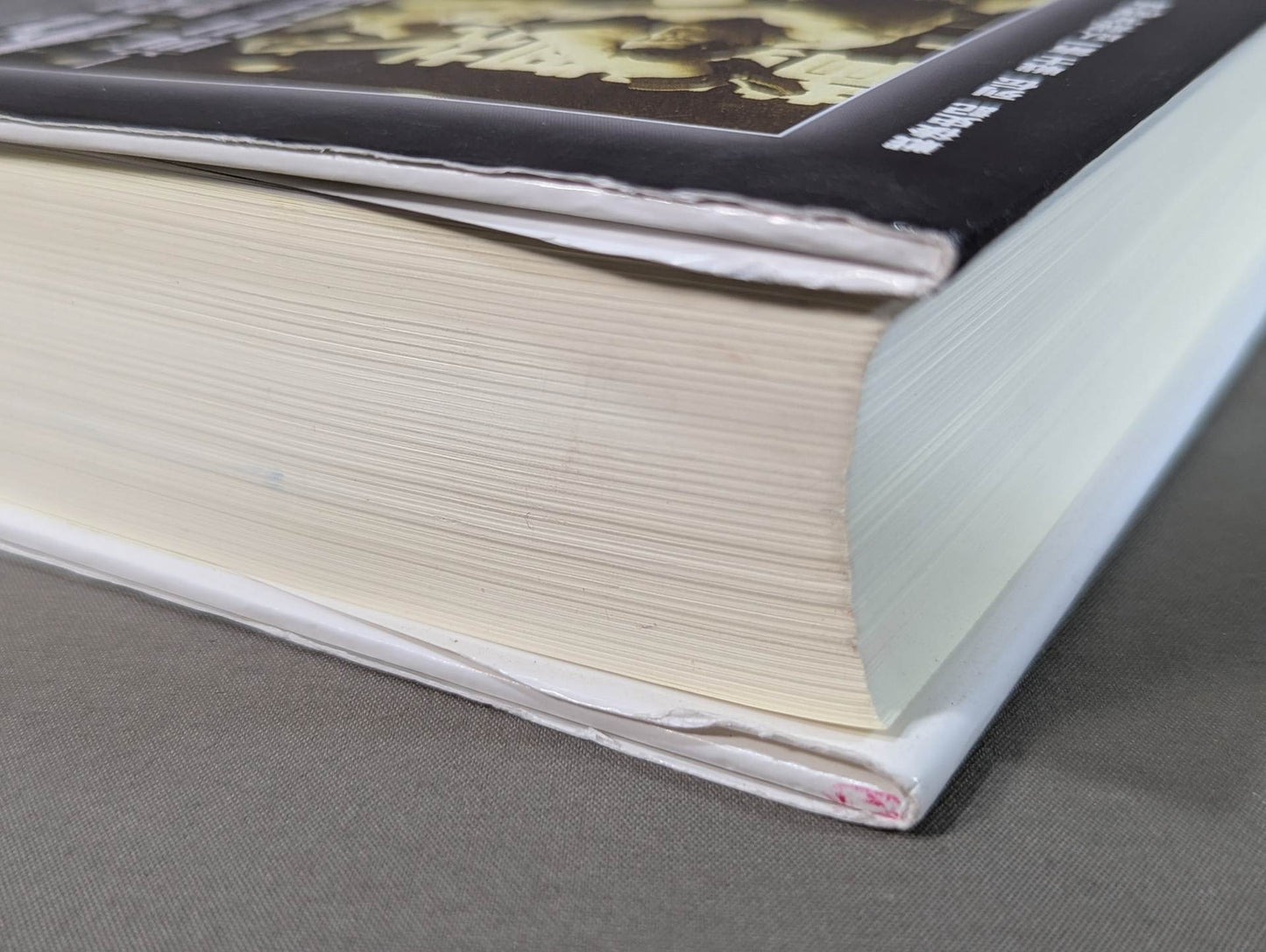 Martial Artist Akira Maeda 's Era (2)