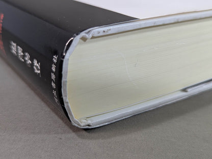 Martial Artist Akira Maeda 's Era (2)