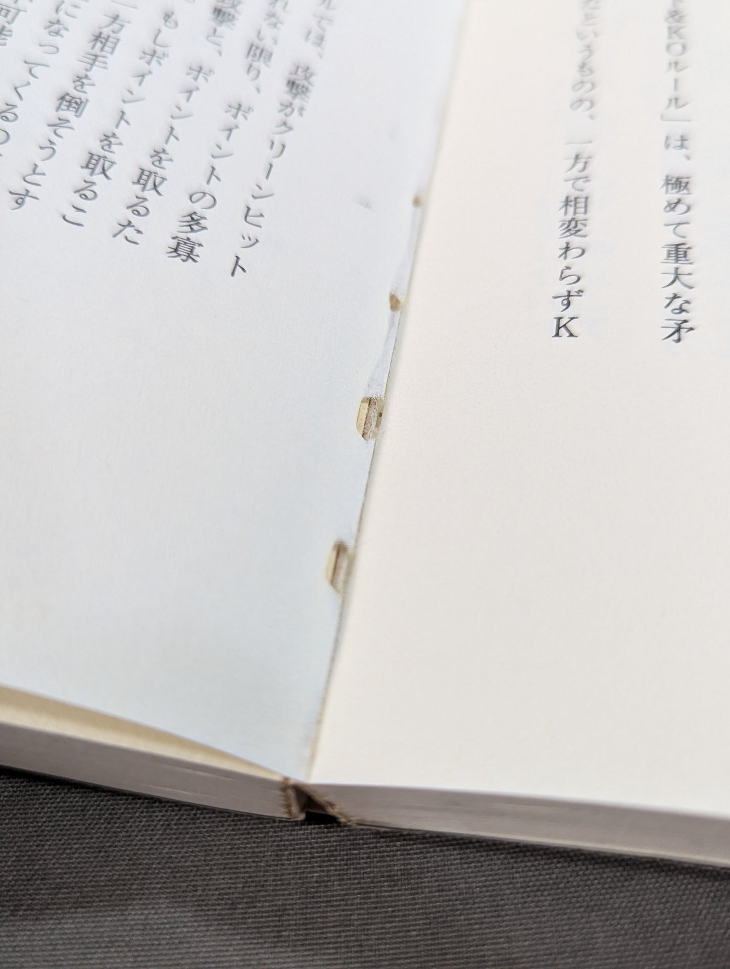 リアルバトロジー 最強格闘技論