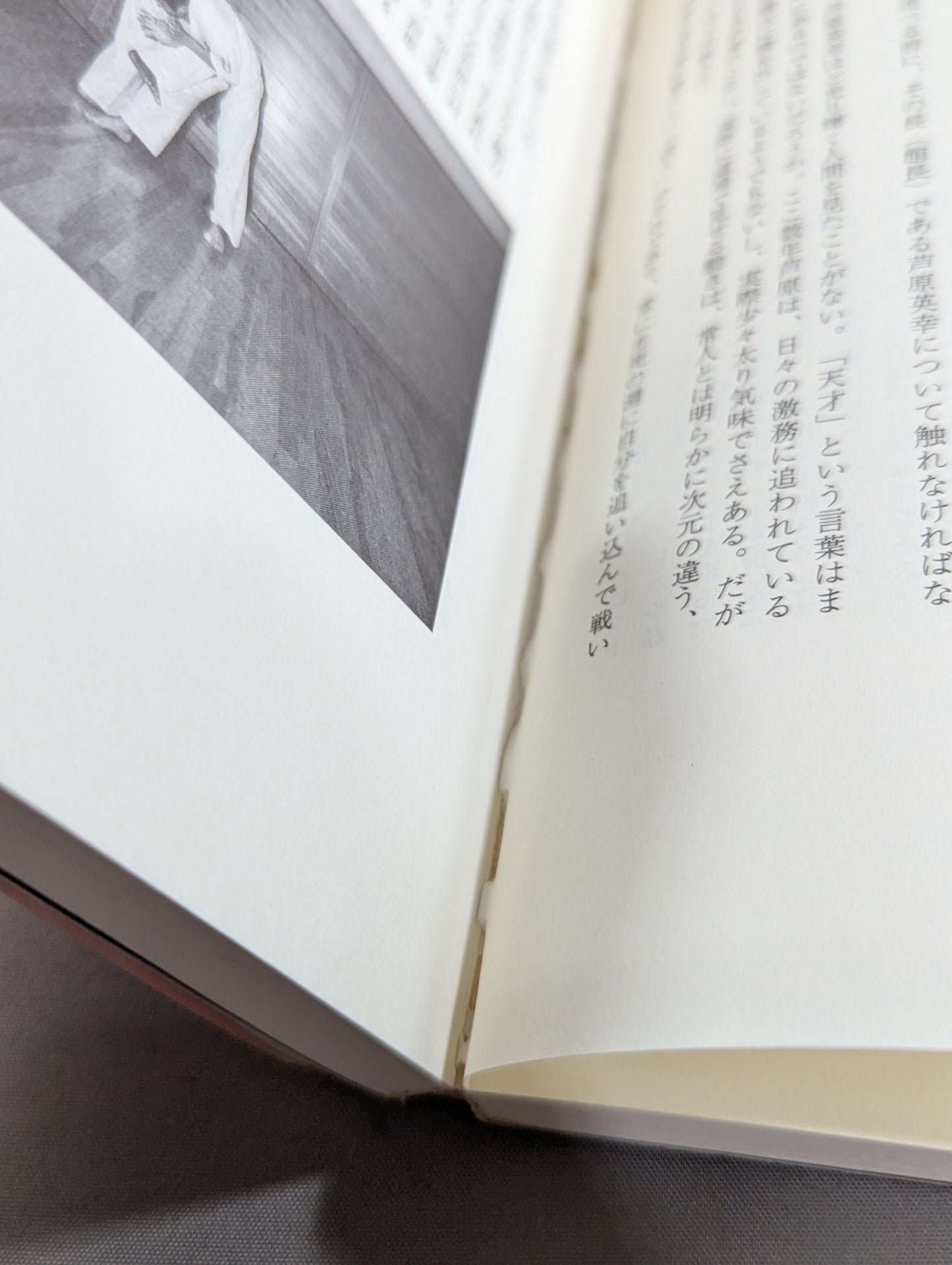 リアルバトロジー 最強格闘技論