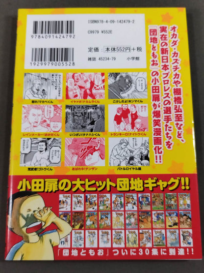 New Japan  Fantasy (1)