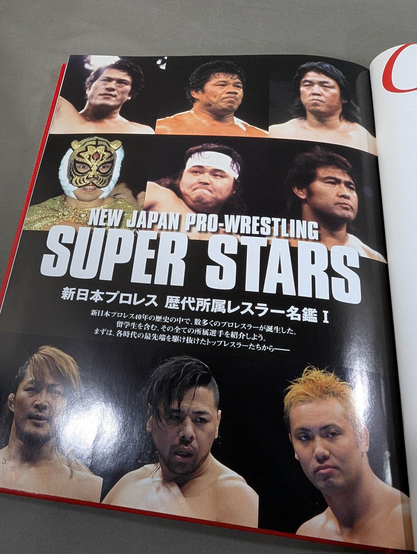 新日本プロレス 25年史 。創立25周年記念愛蔵版。美品。 新日本プロレス40年史《創立40周年記念愛蔵版》 – 闘道館