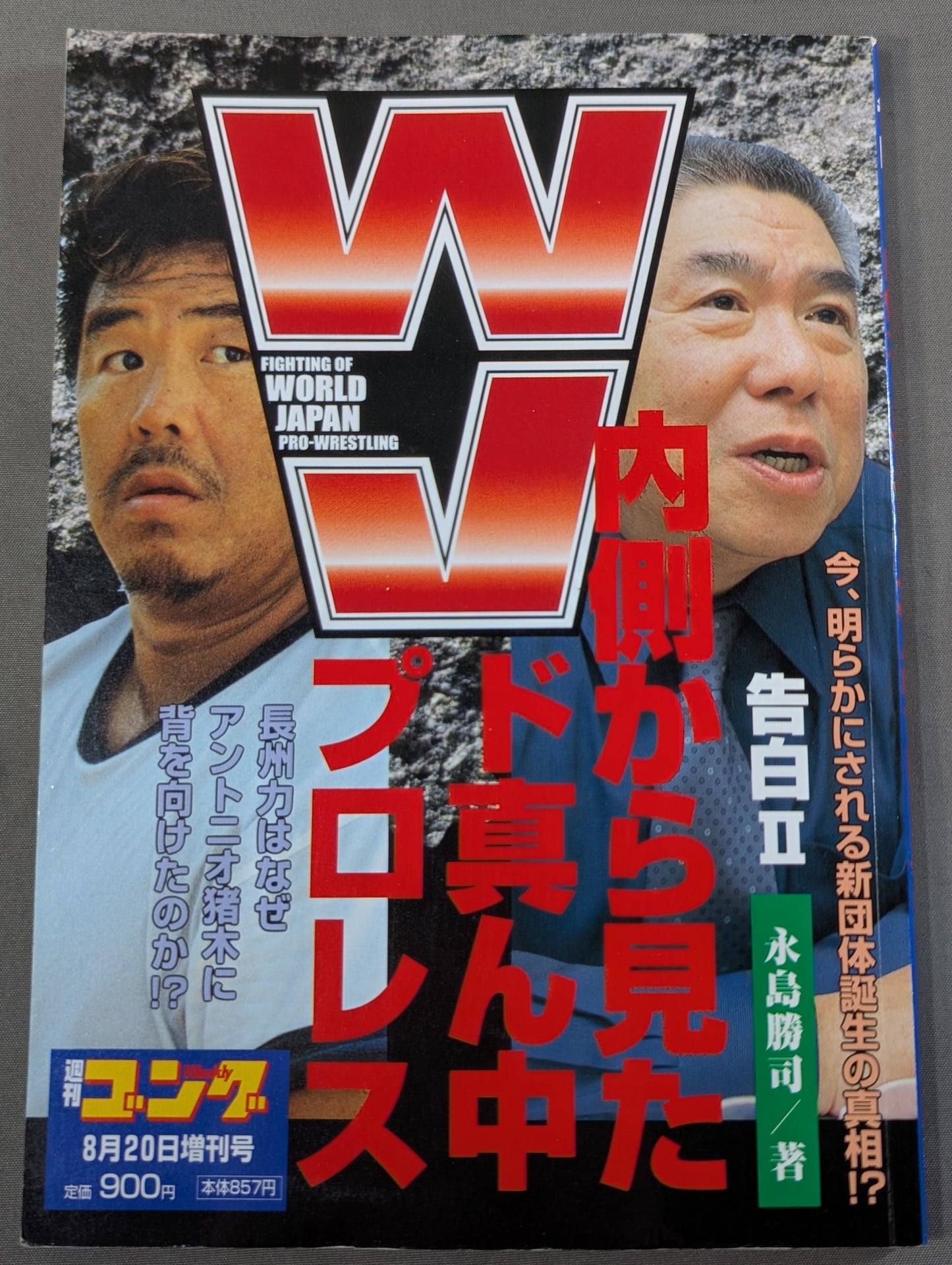 Confession II: WJ Do-Center Pro Wrestling Seen from the Inside