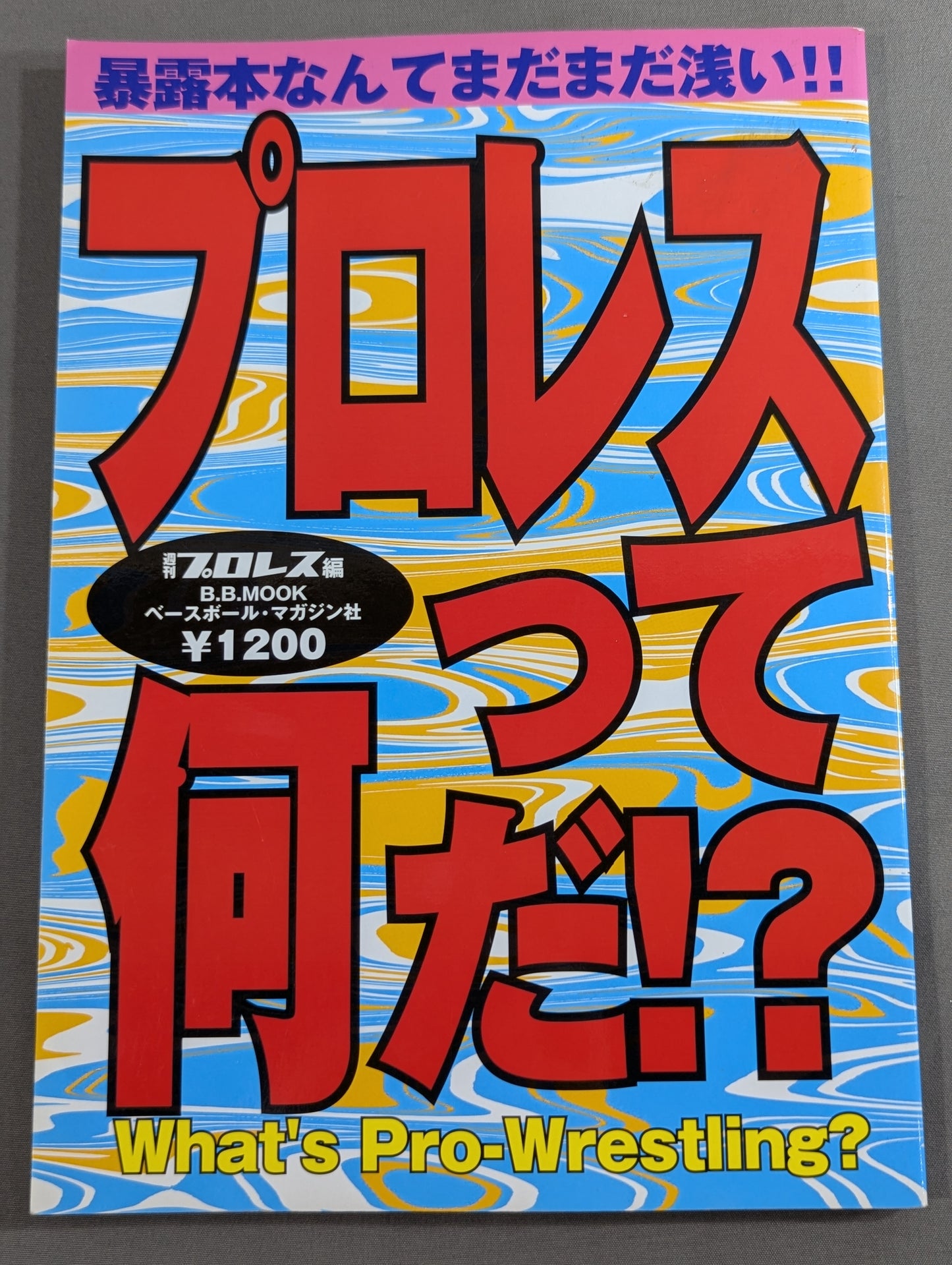 What is Pro Wrestling!? The exposure book is still shallow! !
