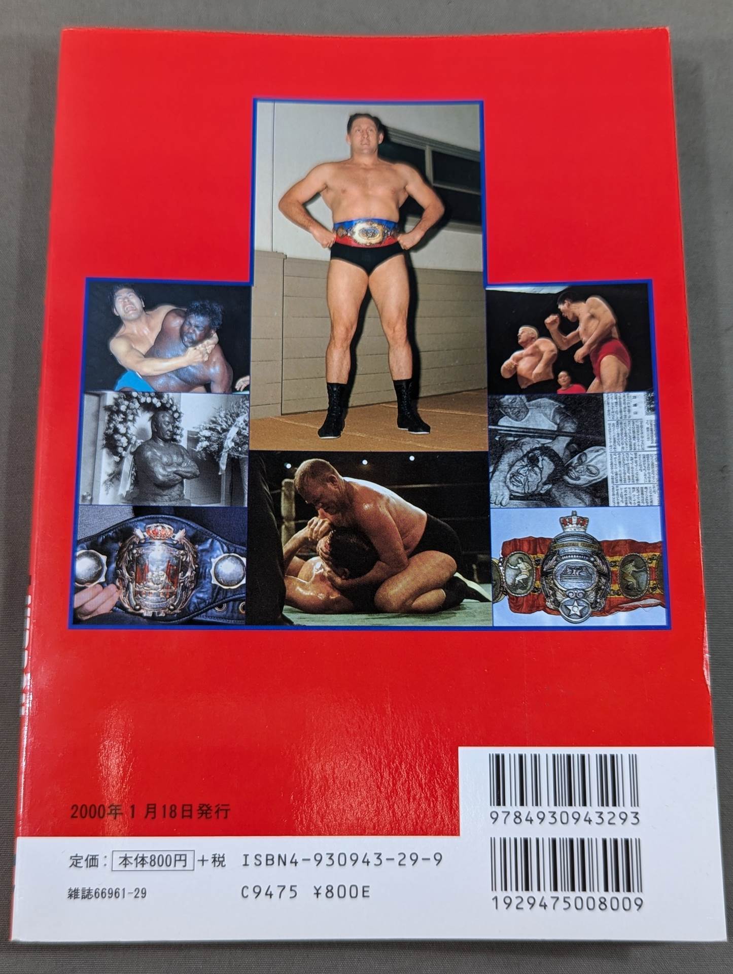 Pro Wrestling Trivia Book